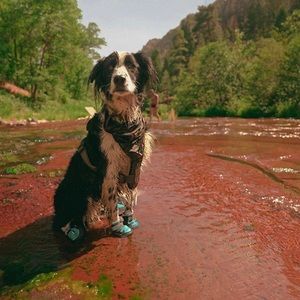 Meet your Posher, Camilla